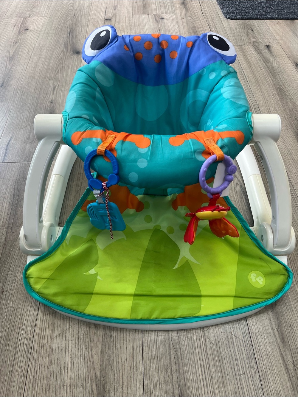 Fisher-Price Sit-Me-Up Floor Seat frog